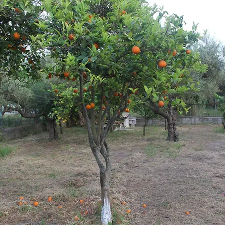 펜션 Yellow House Close To The 알리카나스