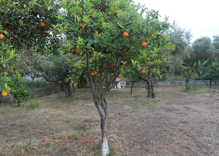 度假居 Yellow House Close To The 阿利卡纳斯